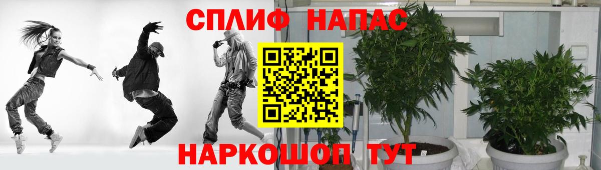 Бошки Шишки THC 21%  Вход с VPN  Шишки марихуана MAZAR  Топки  Бошки Шишки VHQ 